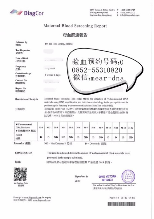 达雅高最新报告单图片解读与应用指南