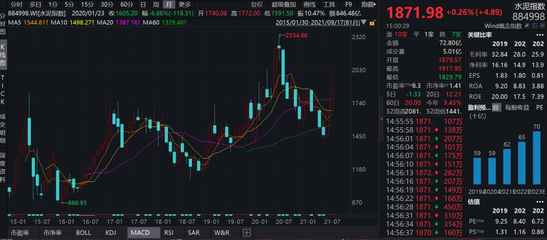 塔牌集团股票最新消息综述，动态更新与深度分析